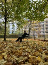 Herbstlaub und Blätter, im Hintergrund sitzt eine Person auf einer Bank