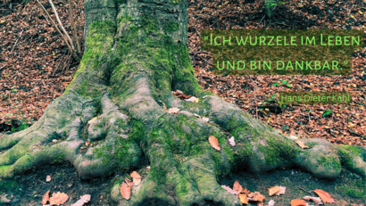 Baumwurzeln im Laubwald mit Zitat von Hans Dieter Kahl: "Ich wurzele im Leben und bondankbar."